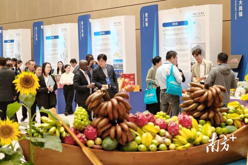 商品贸易：洞察市场的脉络与未来趋势